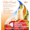 Filter Fresh Web FilterFresh Tropical Bay Scent Air Freshener 0.8 oz Gel WTROPIC - alternate 3
